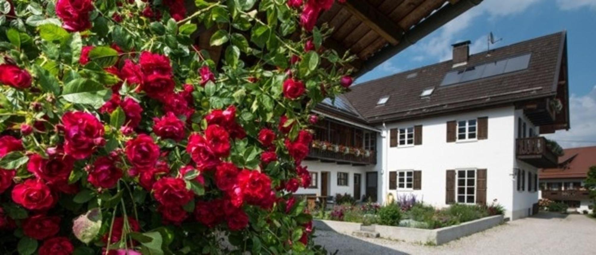 Ferienwohnung Lacherhof Seehausen am Staffelsee Luaran gambar